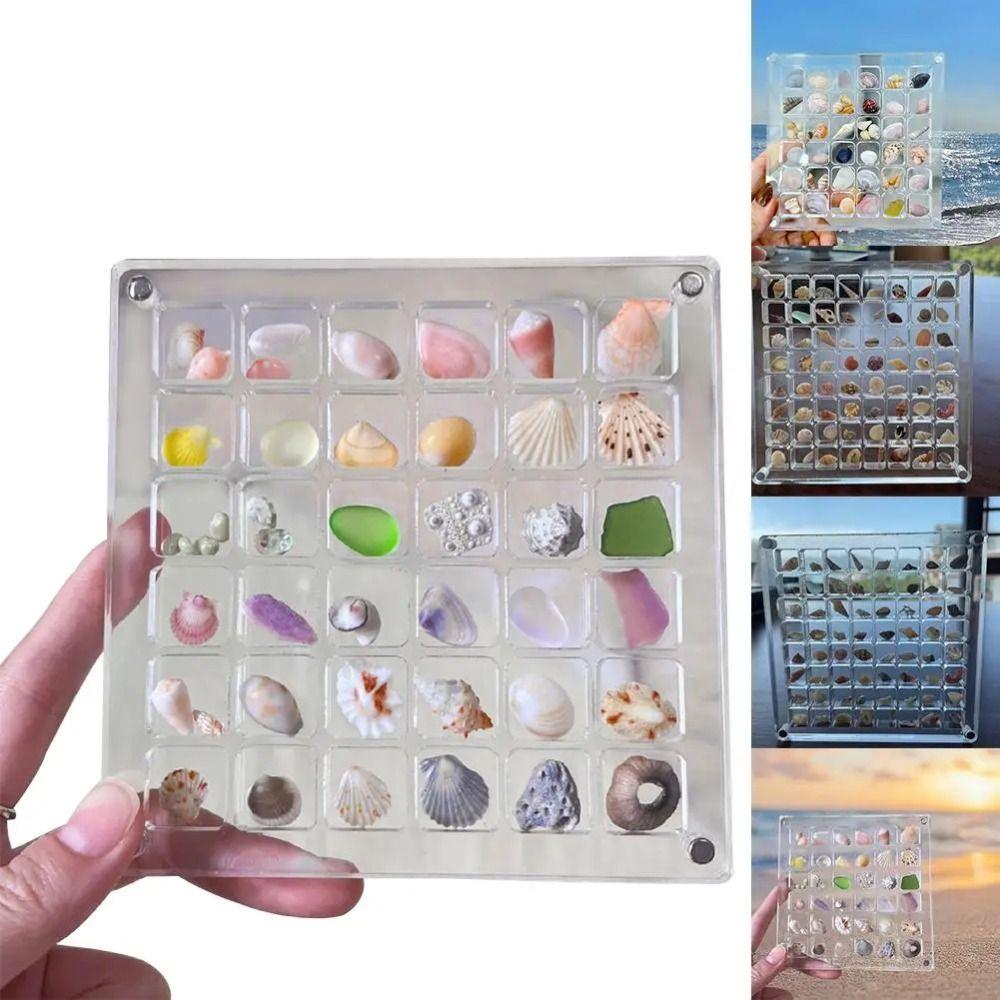 Transparent Magnetic Seashell Display Box Mini Small Craft Organizers Compartment