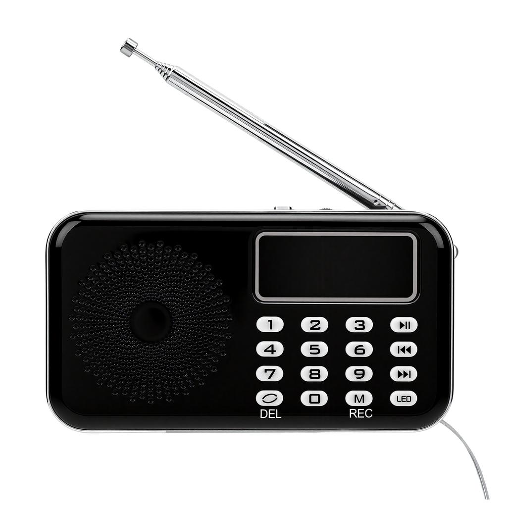 Geisteruntersuchung FM Spirit Radio mit leuchtenden Katzenbällen Lautsprecher 50Hz bis 20000Hz Paranormales Detektionsausrüstungs-Set