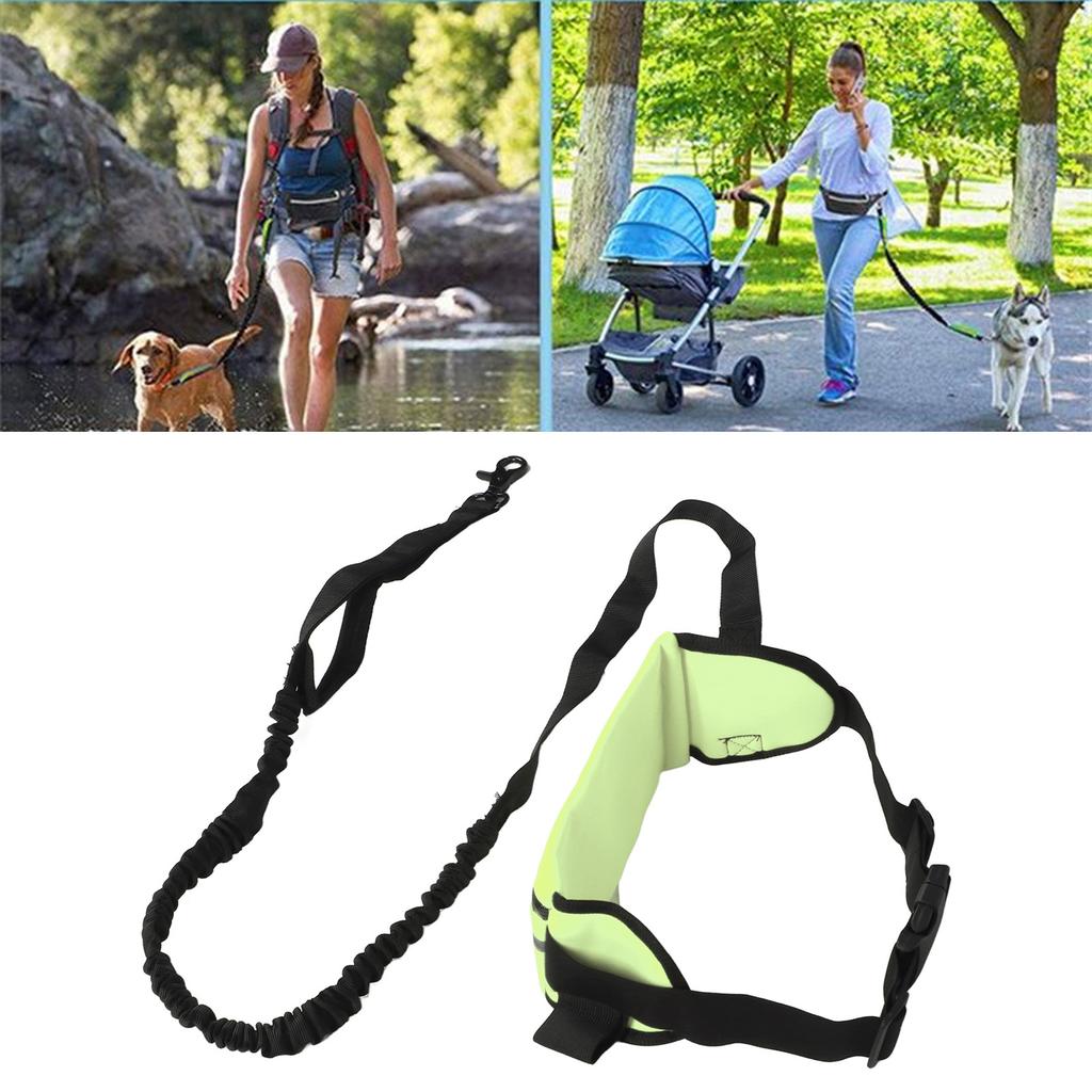 Hands Dog Leash Shock Absorption Reflective Dog Running Leash with Zippered Bag for Walking Jogging Running