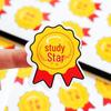 Student Reward Medal & Encouragement Sticker Set – Easy To Use for School Praise & Decoration