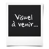 Slipjes – Bikini, brazilian, hipsters, slips en retro