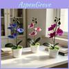 Butterfly Orchid Faux Plant Decorative Arrangement With Soft Silicone Material For Wedding And Photography