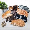 Floor Mat Foot Mat Non-slip Mat Entrance Door Bathroom Water-absorbent Bathroom 3D Kitten Animal Bedroom Bedside Blanket Living Room