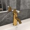 Day and Night - Day and Night Golden Bathroom Sink Faucet 130x180 Mm