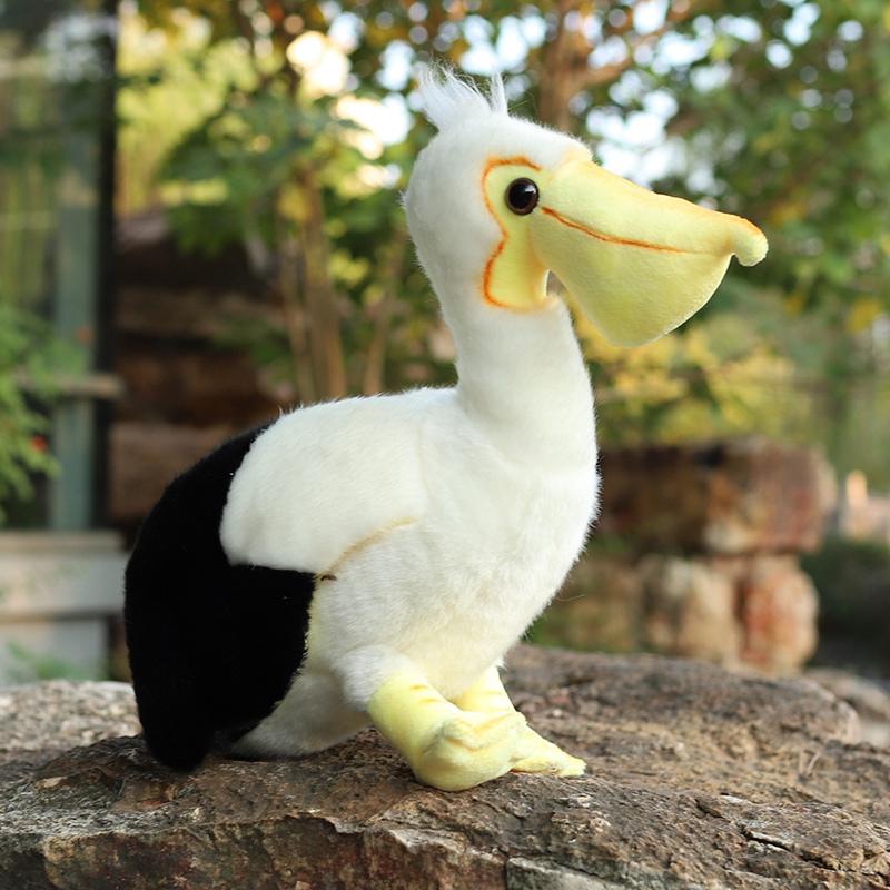 25cm Simulatie Knuffeldier Leuke Vogels Papegaaien Toekan Adelaar Pauw Pluche Speelgoed Uil Speelgoed Educatief Cadeau Voor Kinderen