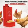 Outdoor Wrought Iron Suspended Automatic Chicken Pellet Feeder