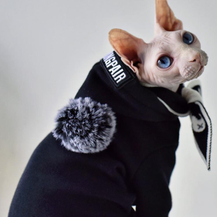 Tide Fan svetr s kapucí Winter Plus Sametově teplý Yonghe Sphinx Bezsrsté kočičí oblečení Tide německé oblečení