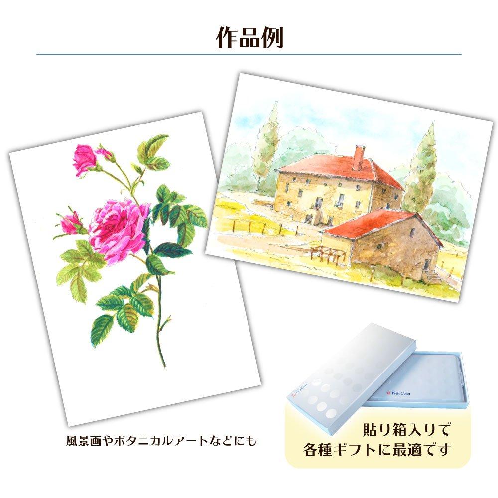 Sakura Crepas Paint NCW-60 Solid Watercolor, Petite Colors, 60 Colors, Original Brush Included