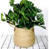 Woven Grass Planter Pot With Breathable Design For Living Room Decor Large Size