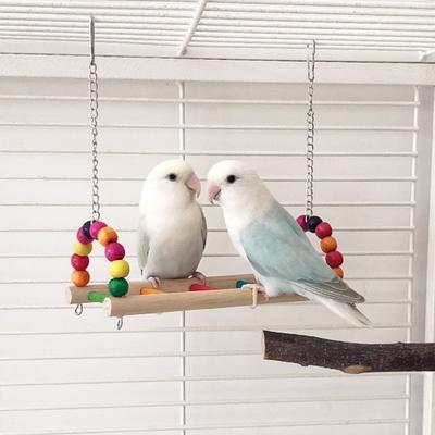 Multi Functional Bite Resistant Parrot Swing Colorful Hanging Beads Bird Wooden Bird Cage Standing Interaction