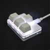4-Key Keypad WASD Arrows Key Keycaps Keyboard One-Handed Mechanical Gaming Keypad Programmable USB Customized Keyboard