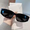 TR90 Cat-Eye Sunglasses 2023: Trendy Street Style with Sun Protection