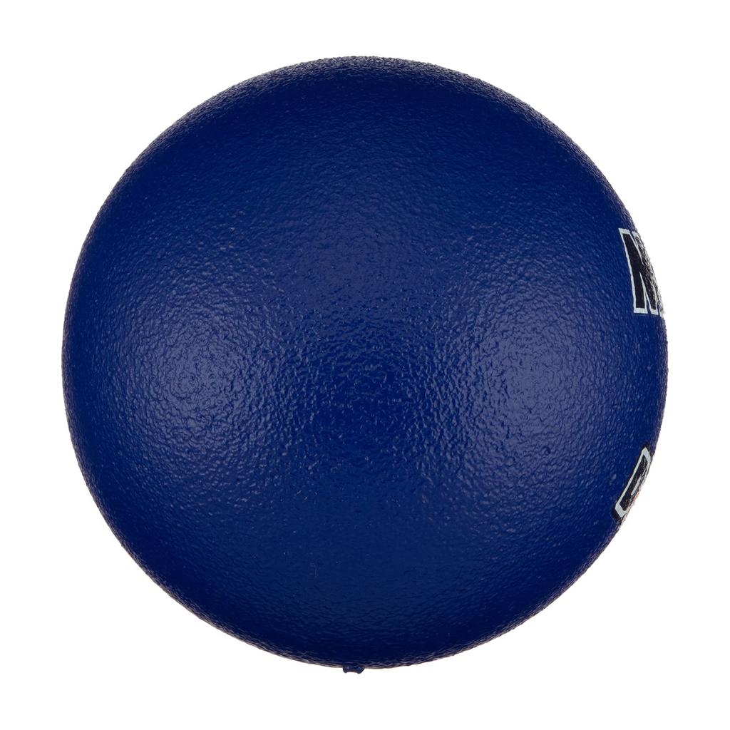 MIKASA Sponge Dodgeball, 57cm (for Preschoolers To Elementary School Students), 135g, Blue, STD-18 BL