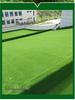 Artificial Turf Green Carpet for Kindergartens & Football Fields
