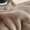 Double Layer Solid Color Milk Velvet Blanket Autumn Winter Thicken Warm Plush Blanket for Bed Sofa Single Double Thick Bed Sheet