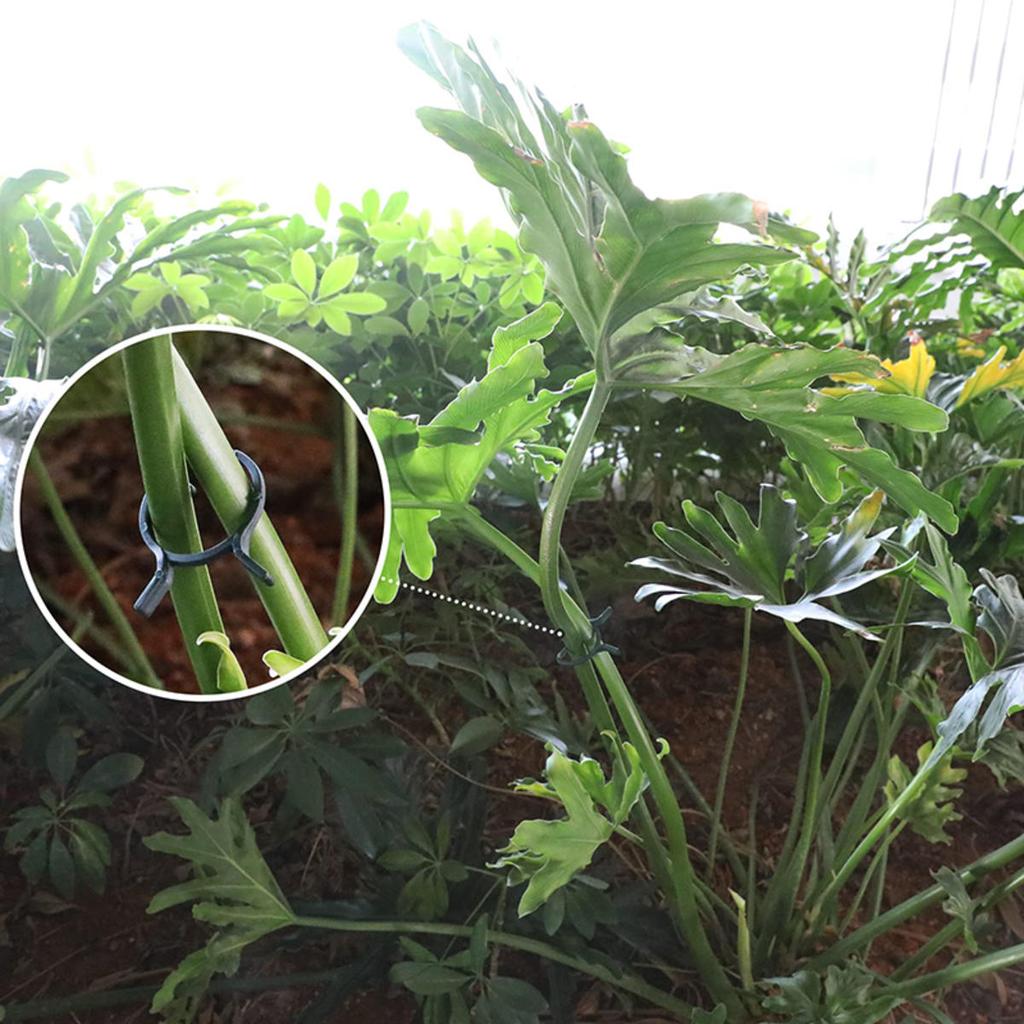 100/200pcs Plant Clips 3 Size Clips for Attaching Plants Garden Clamp Plant Support Clamp Climbing Plant Clip Plant Clip