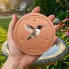 Jardinagem e paisagismo – Decoração de jardim