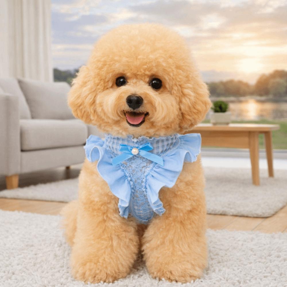 Escape-Proof Dog Chest Strap Adjustable Pet Walking Rope No Pull Pet Traction Rope  Pet Supplies
