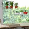 Kitchen Window Herb Stand Sill Plant Shelf with Strong Suction Cups, Clear Acrylic Wall Small Item Display Rack Mounted Floating Ledge, for