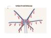 Conweiqi Round Clothes Dryer: Quick-Dry Warm Air Household Wardrobe Dryer with Free Shipping