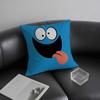 Funny Emoji Cute Cushion Cover Pillowcase Ultra Soft Skin Friendly Fabric Cloud Like Comfort & Concealed Zipper