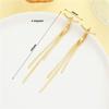 Long Tassel Earrings For Women, Alloy Ear Lines With Simple And Cool Style Jewelry Gift