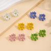 Silver Needle Spring Floral Stud Earrings: Korean Style Sweet Spray-Painted Flower Earrings for Women