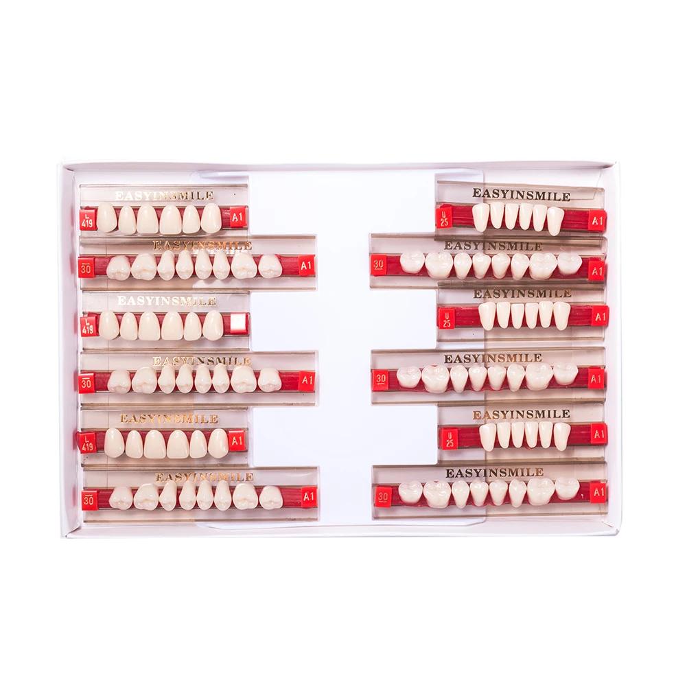 16/12 Sätze/Karton Zahnprothese Zähne Oberkiefer Frontzähne Unterkiefer Seitenzähne Dentier Synthetisches Polymerzähne Zahnmedizinische Ausbildungsmodell