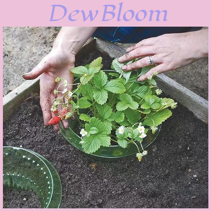Vegetable Protection Cover Plant Shield With Pest Prevention For Garden Use