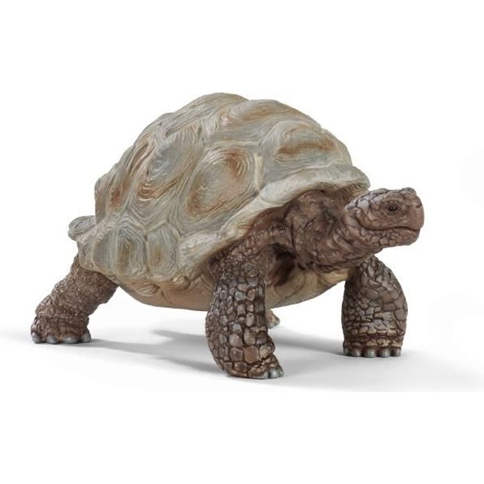 Figurine Tortue géante - SCHLEICH - Wild Life - Pour enfants à partir de 3 ans - Garantie 2 ans
