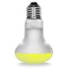 Resun Daylight Basking Lamp 75W - Spot Heater Bulb