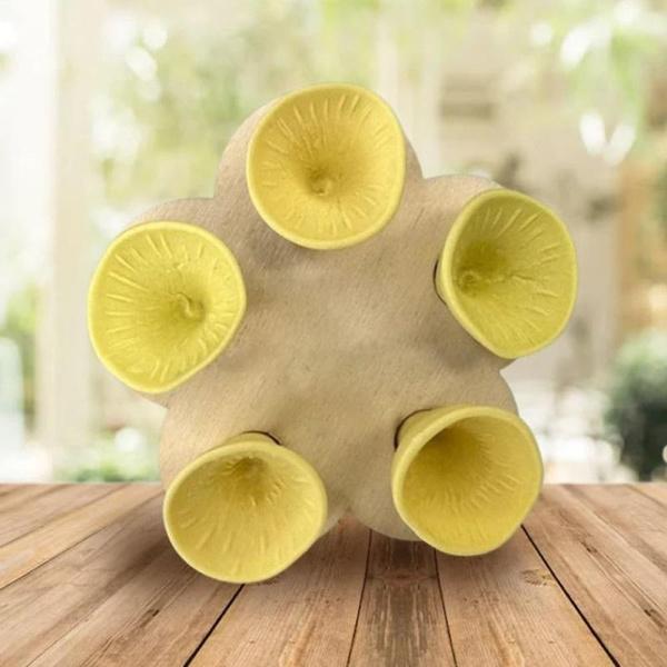 1Pc Colorful Bee Insect Drinking Cup, Bee Insect Drinking Cup, Bee Cups, Thirsty Pollinators Need a Drink, Bees Need Safe Places To Drink