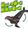 TAKARA TOMY Sea Animal Dinosaur Realistic Moving Figure Ages 3 and Meets Toy Safety ST Mark Certified "Ania AS-21 Lion" Figure, Toy, Up, Standards,