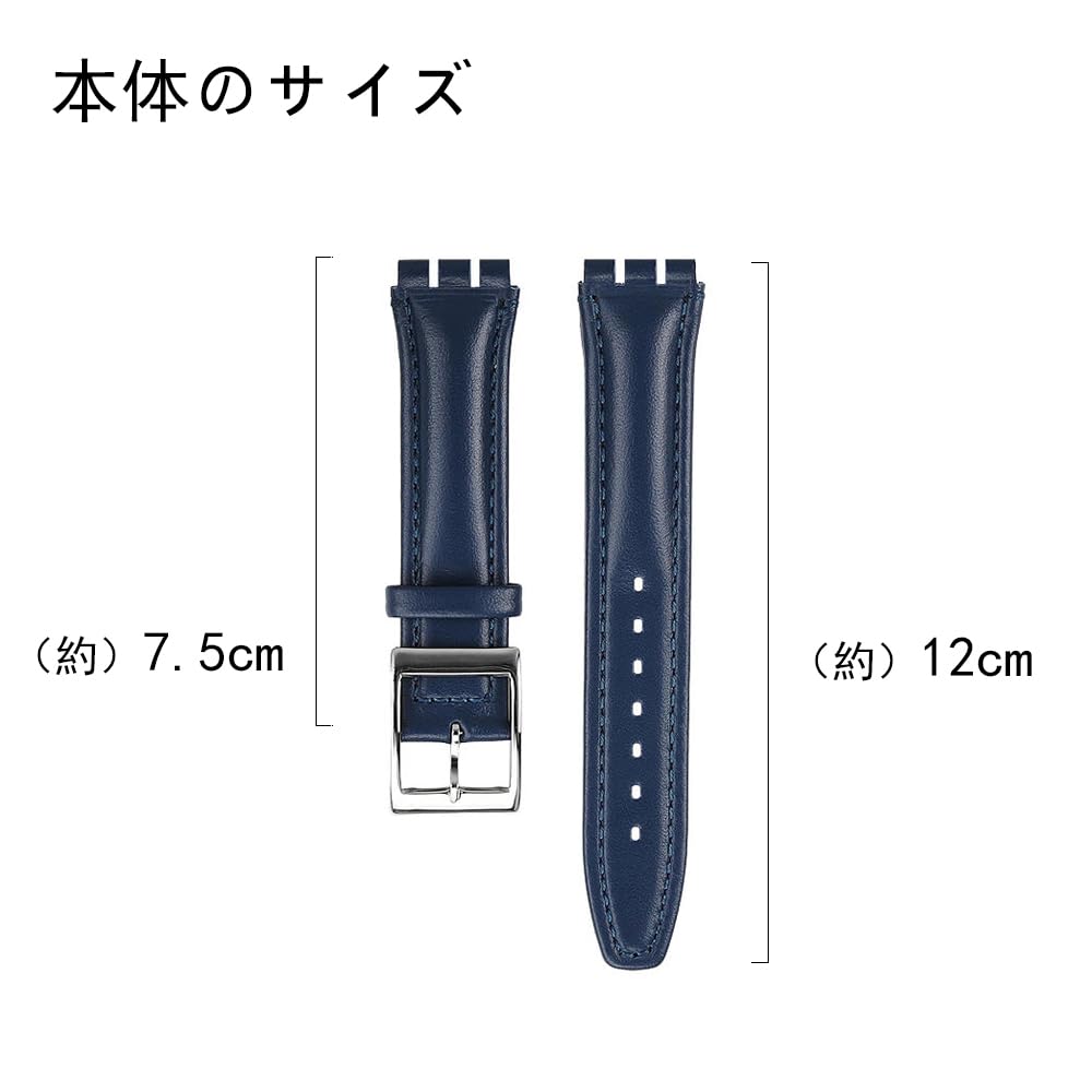 ZHUOLEI Swatch Watch Strap, 17mm/19mm [Includes 3 Spring Bars, Spring Bar Remover, and Box] (A-Blue, 19mm)