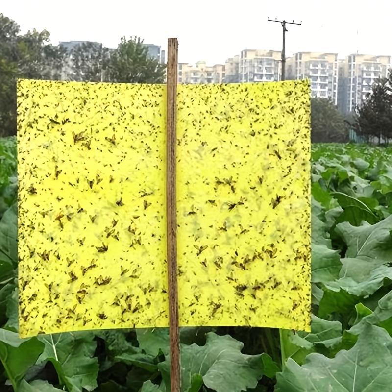 Double-sided Insect Sticky Device Can Quickly Catch All Kinds of Flying Insects, Insect Trap Board for Catching Small Flying Insects