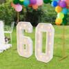 Double-sided Light-up Number 60 LED Strip with Battery Box, LED Bulbs, 60th Birthday Party Decoration Lights, KT Board, White