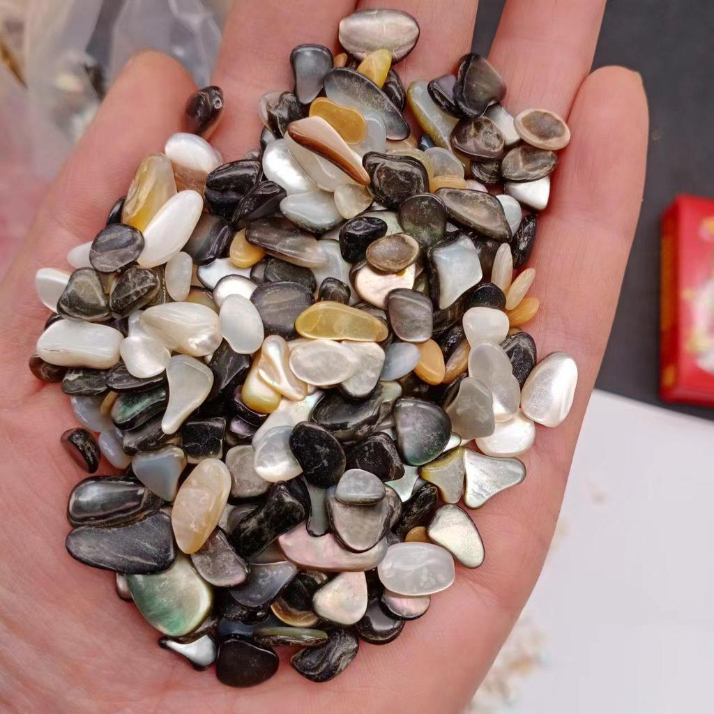 Piedras de Concha de Terrazzo Blanco y Negro de Nácar para Decoración de Acuario y Maceta