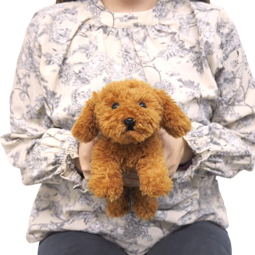 Sun Lemon Knees Toy Poodle Br Ss 15 X 26 X 12 Cm Plush Animal Cute Dog Dog P 8082 Toy Poodle Brown Ss