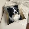 1 Stück Border Collie Kissenbezüge Schlafzimmer Sofa Quadratischer Kissenbezug Wohnzimmer Stuhl Kissenbezüge Innen Hausdekoration Geschenk