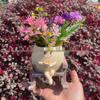 Rocking Chair Flower Pot Ornament - New Smile Creative Home Decor