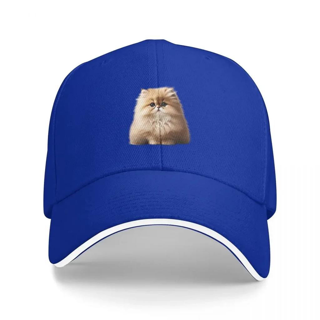 New Persian Kitten Baseball Cap Military Man Sun Caps Vintage S Women Mens