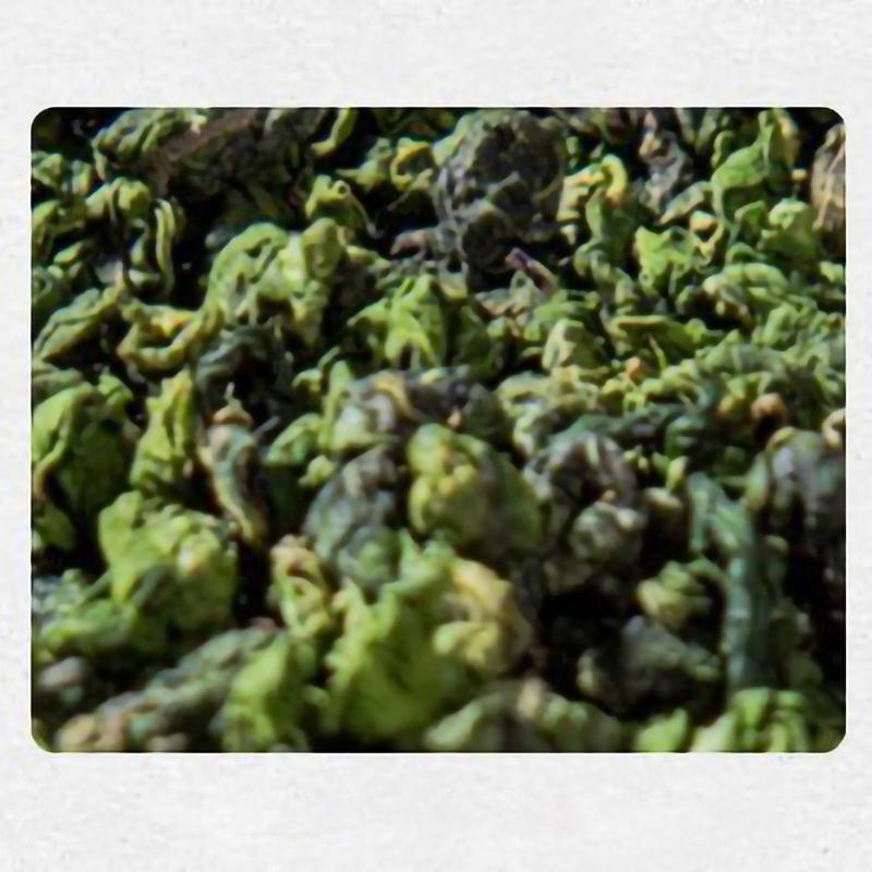 Shanxi Taihang Mountain Forsythia Green Tea