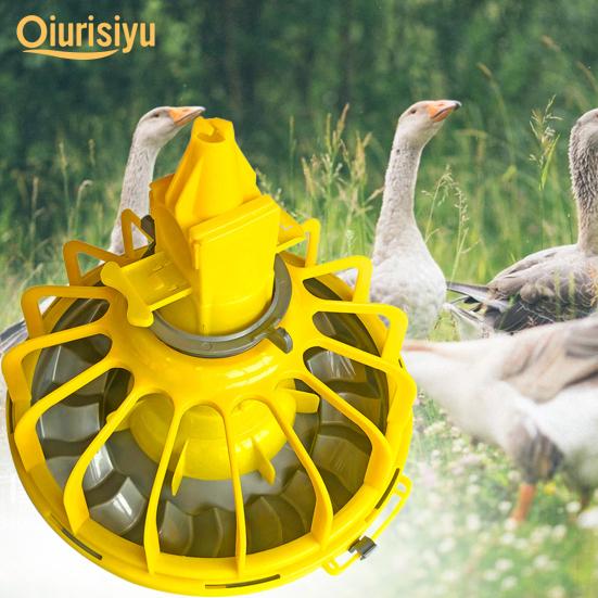 automatic duck feeder
