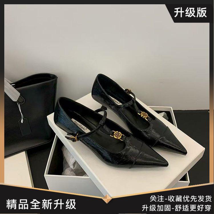 French Low-heeled Pointed Single Shoes for Women's 2025 Spring New Soft Leather Flats with One-word Strap Skirt Mary Jane