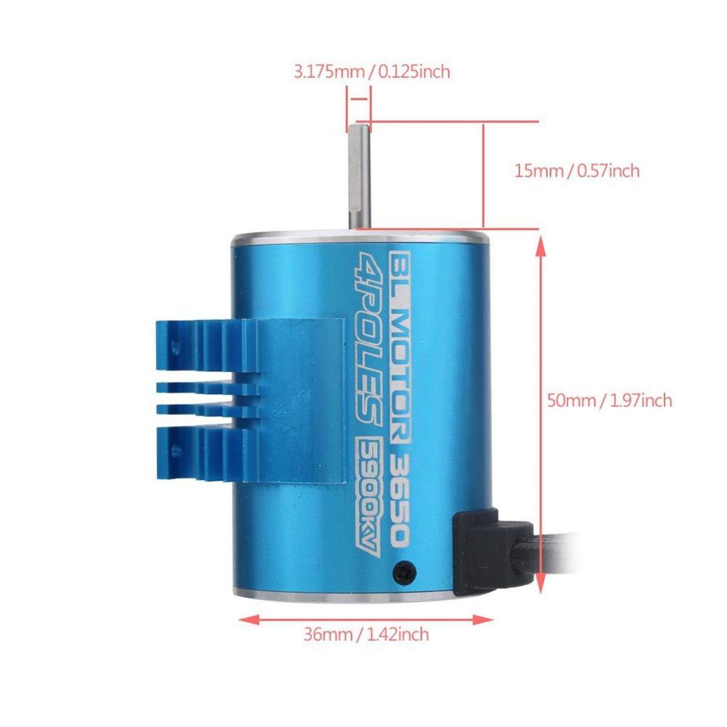 3650 5900KV 4-Pole Brushless Motor with Heat Dissipation, Professional RC Part Replacement for 110, 116, and 118 RC Cars and Boats, 50,000 RPM, High