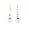 Palace Style Cloisonné Enamel Blue & White Jade Tassel Earrings for a Slimming Effect