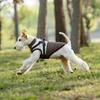 Dog Cold Vest Autumn and Winter Out Pet Clothes Thickened Cotton Clothes Chest and Back Integrated Large, Medium and Small Dog Clothes