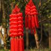 Mercerization Lantern String Tassels Decorative Ball String Red Lantern Hangings  Chinese New Year