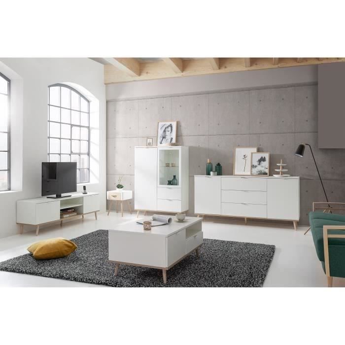 Meuble TV Scandinave GÖTEBORG - Blanc - 2 Portes - L 160 X P 40 X H 50 Cm
