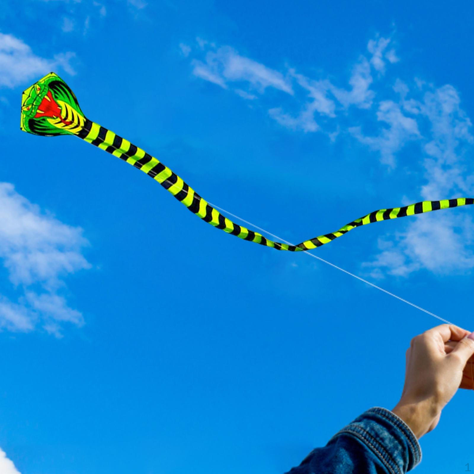 

3D Kite Adults, Huge Animal with Tail for Beach Park family and Activities Snake
